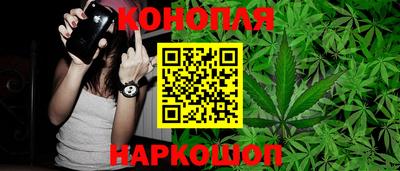 стаф Лесосибирск