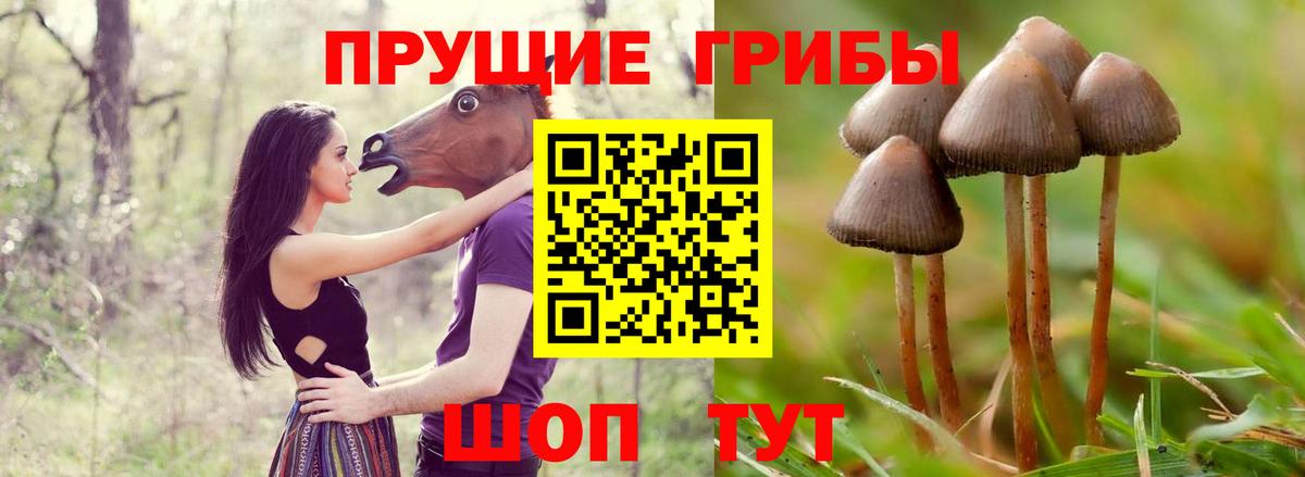 Галлюциногенные грибы мухоморы  Псилоцибиновые грибы Cubensis  Вход с VPN  Губкин 
