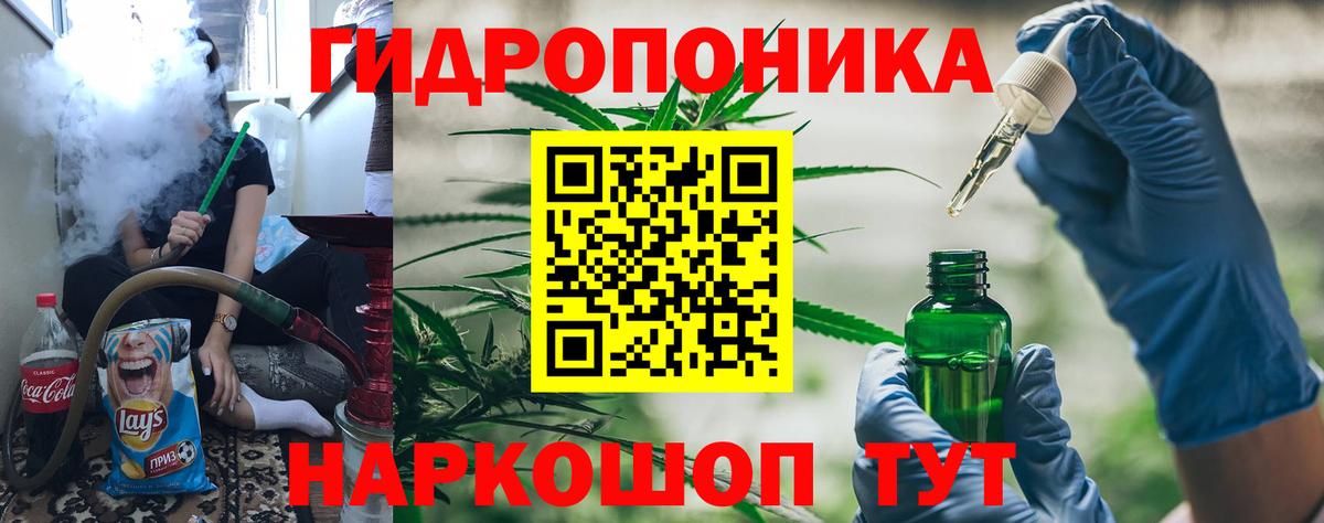 Марихуана семена Губкин